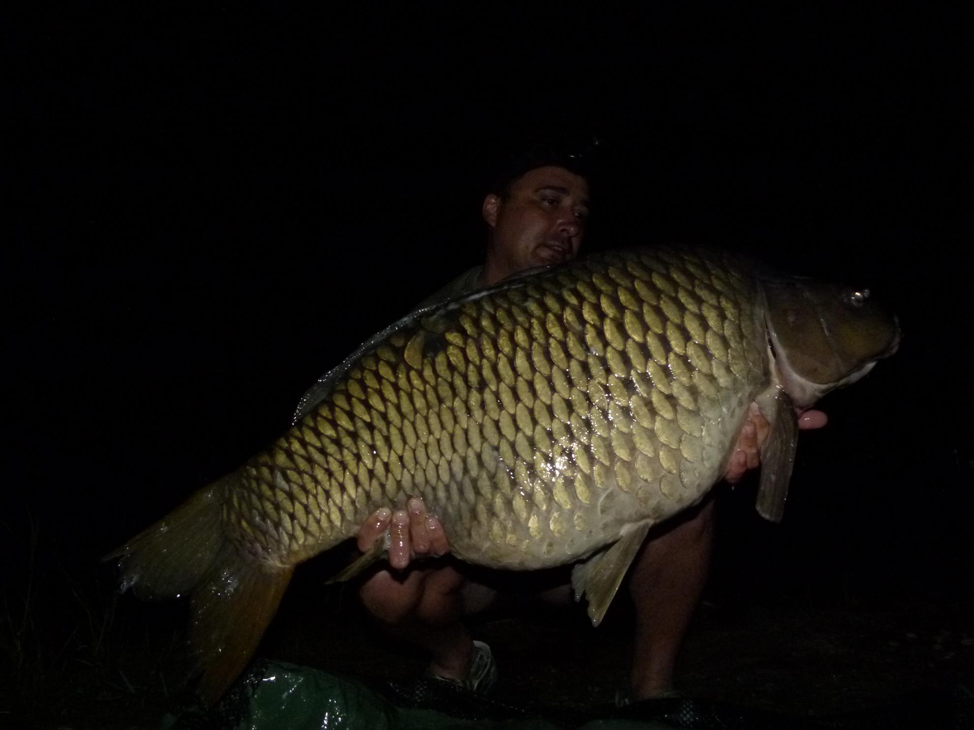 PDB 2013 - 21,500 kg